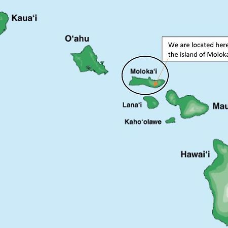 Appartement Molokai Island Retreat With Beautiful Ocean Views And Pool - Newly Remodeled! à Ualapue Extérieur photo