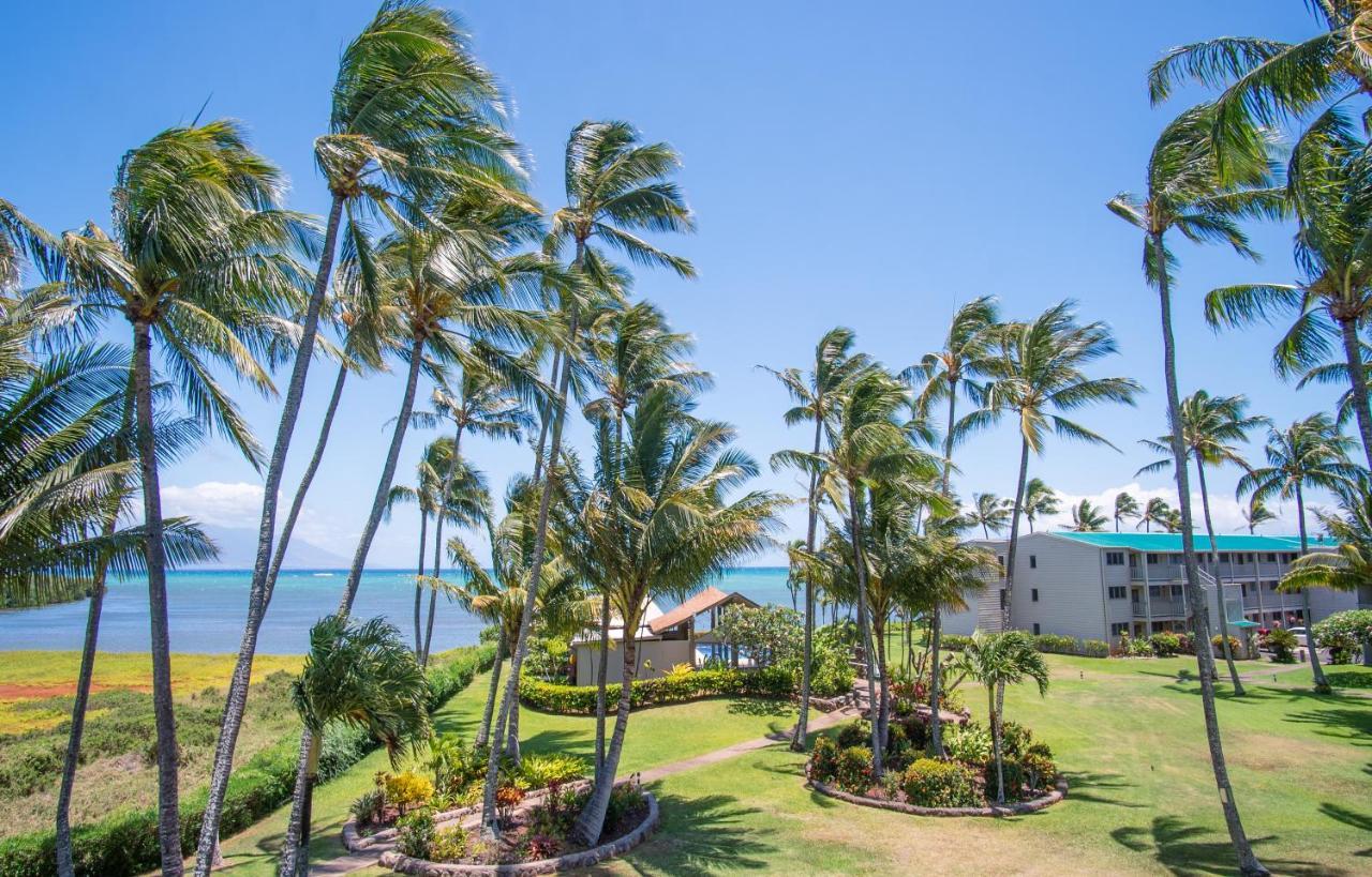 Appartement Molokai Island Retreat With Beautiful Ocean Views And Pool - Newly Remodeled! à Ualapue Extérieur photo