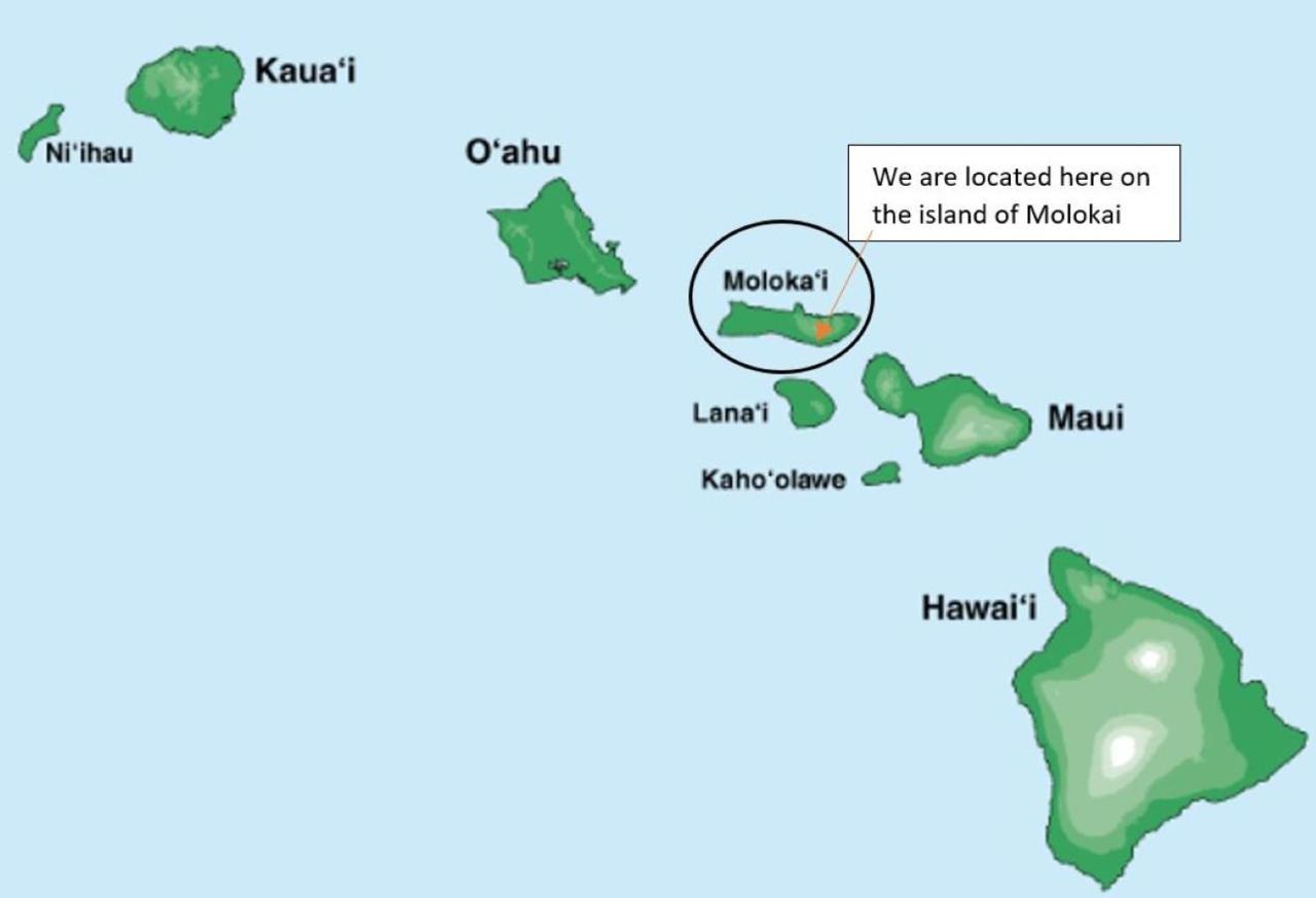 Appartement Molokai Island Retreat With Beautiful Ocean Views And Pool - Newly Remodeled! à Ualapue Extérieur photo